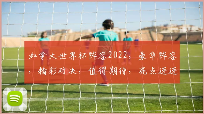 加拿大世界杯阵容2022，豪华阵容，精彩对决，值得期待，亮点连连，不容错过