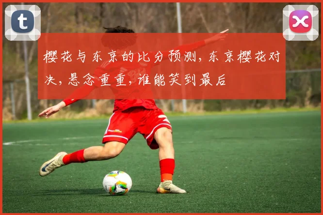 樱花与东京的比分预测,东京樱花对决,悬念重重,谁能笑到最后