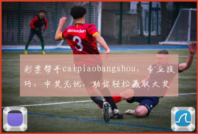 彩票帮手caipiaobangshou，专业技巧，中奖无忧，助你轻松赢取大奖